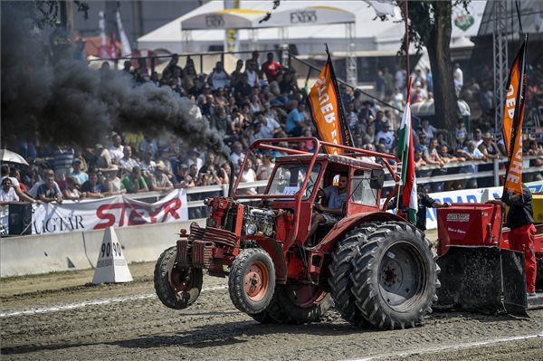 Egy amatőr versenyző húzza traktorával a súlypadot. MTI Fotó: Czeglédi Zsolt