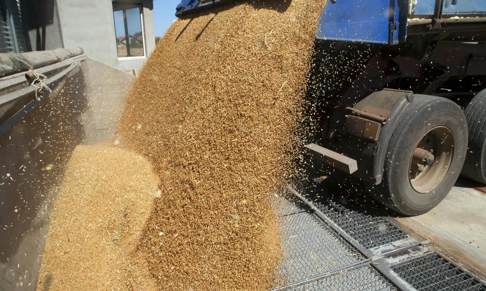 Η κυβέρνηση του Όρμπαν ανακοίνωσε την απαγόρευση των εξαγωγών σιτηρών, αλλά σχεδόν όλες οι αποστολές είναι δωρεάν