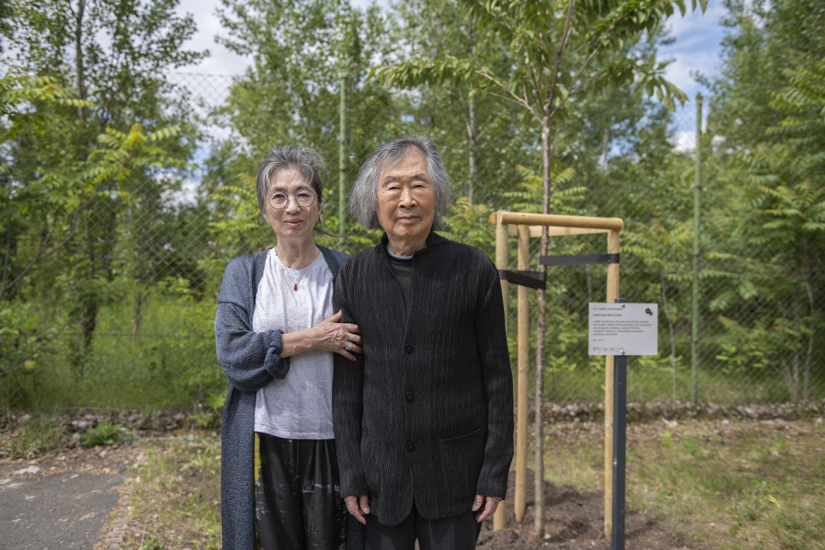 Kobajasi Kenicsiró a zenekar emlékparkjában ültetett japáncseresznyét. Ez a fa akár kétezer évig is élhet