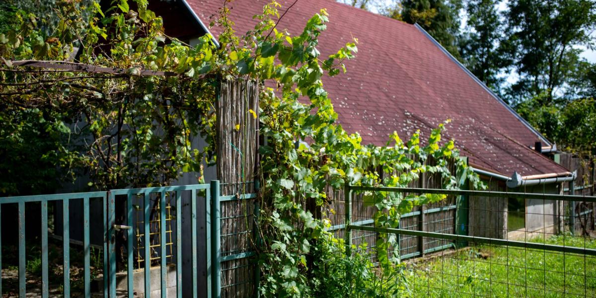 A gyékényesi pár havi 120 ezerért csak az idősek lakhatását biztosította