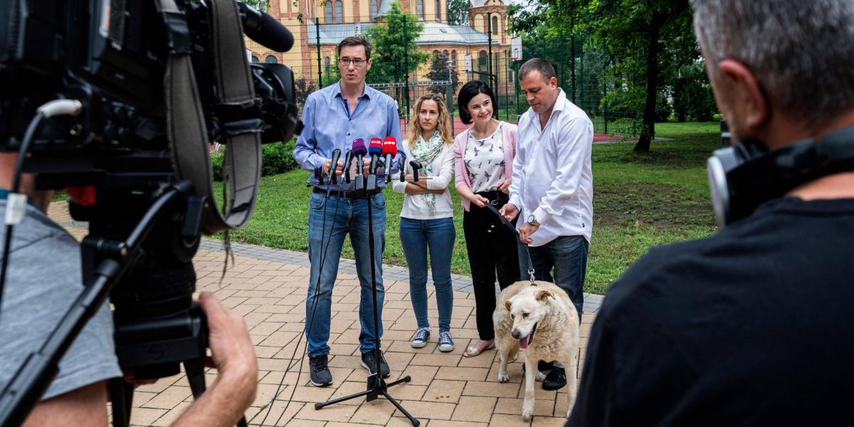 Karácsony Gergely, Szabó Rebeka, Kunhalmi Ágnes és Perédi Gergely, a Tetovált Állatmentők Állatvédelmi Egyesület elnöke (b-j)a Budapesti Állatvédelmi Charta címmel tartott sajtótájékoztatón a zuglói Kassai téren 2019. június 23-án