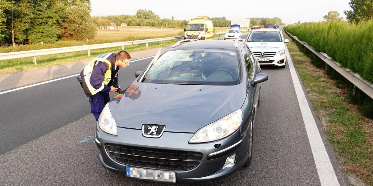 Rendőr helyszínel az M5-ös autópálya Szeged felé vezető oldalán, Kecskemét közelében