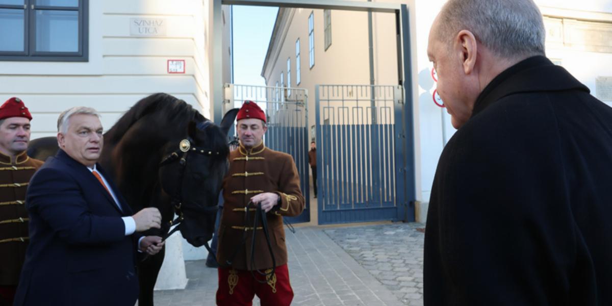 A török elnök lovat kapott ajándékba Orbántól