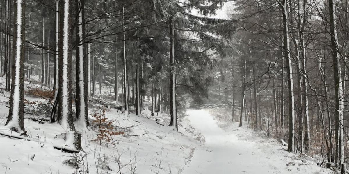 A fehérbe borult Írott-kő