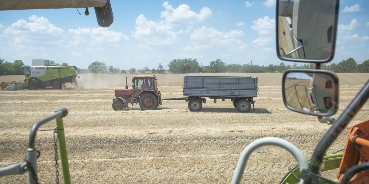 Az agrárium ránthatja ki a recesszió­ból a magyar gazdaságot