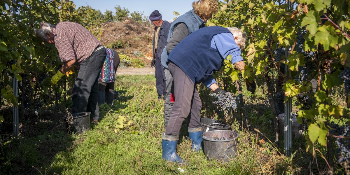 Az átlagbér kiválasztásától is függ, mekkora emelésre számíthatnak a minimálbéresek