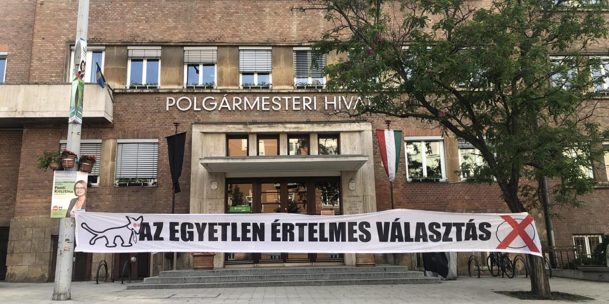 A XII. kerületi polgármesteri hivatal a júniusi választás előtti napokban 