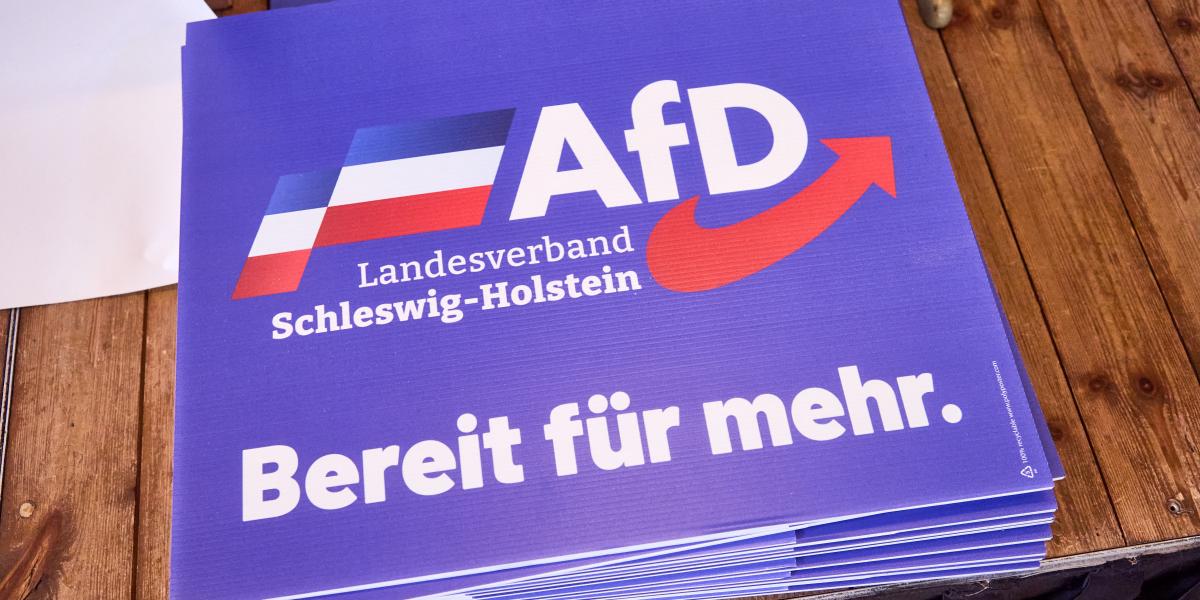 Többre is készek vagyunk, hirdeti az AfD kampányszövege