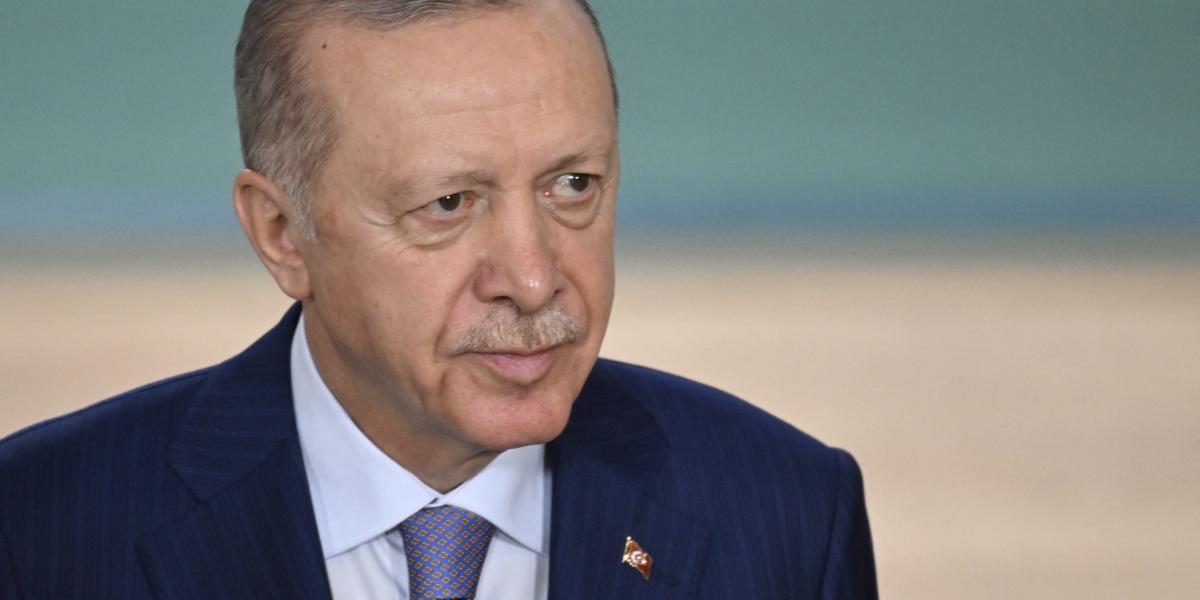 Erdogan szaúd-arábiai és azerbajdzsáni látogatásáról hazatérőben nyilatkozott újságíróknak