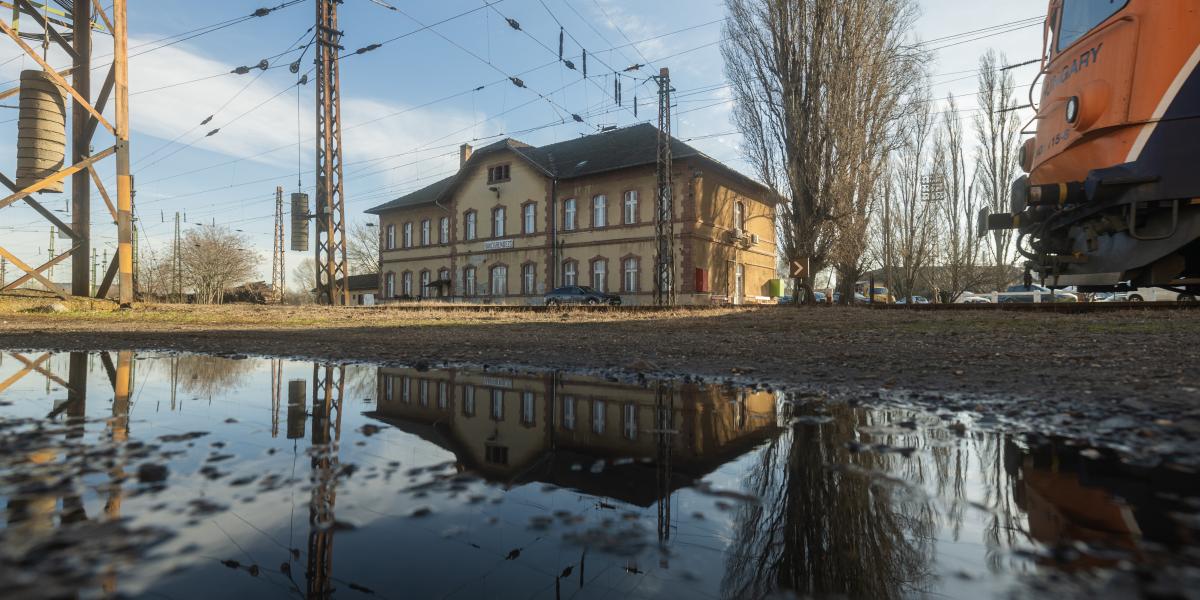 A 130 hektáros terület megtisztítására kiírt tendert fél év alatt sem sikerült lezárni