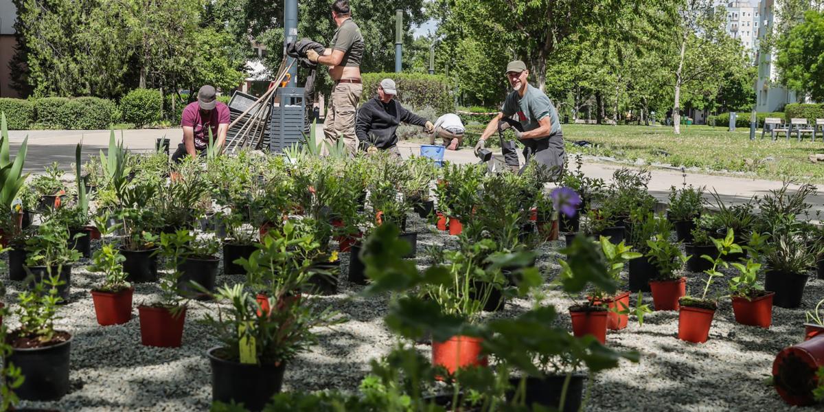 Az óbudai parkok gondozása mögötti szerződések kérdések, kétségek sokaságát vetik fel