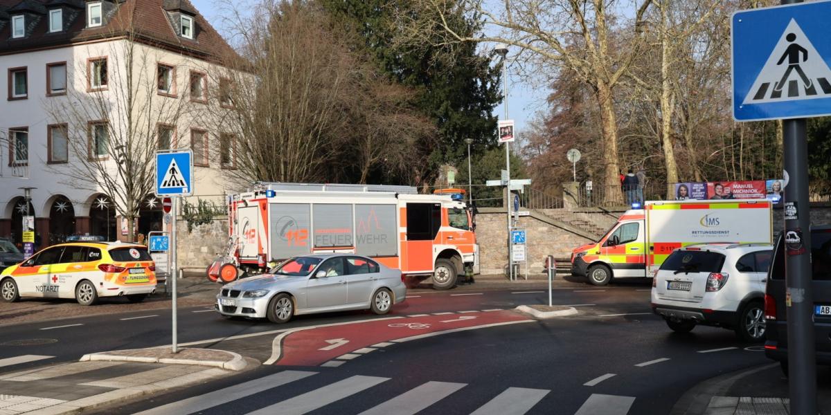 Mentő- és tűzoltó-egységek a park bejáratánál január 22-én 