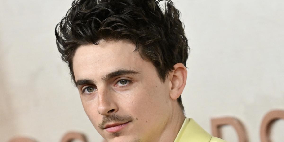 Timothée Chalamet