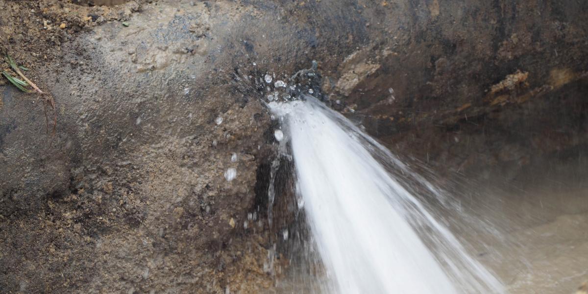 Képünk illusztráció