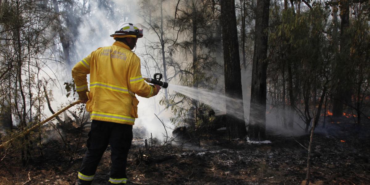 Bozóttűz (illusztráció). 