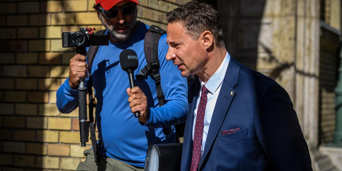 Schadl György - Korábbi felvétel 