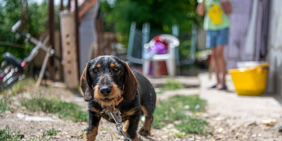 A rendelet szerint július 1-jétől minden adásvételi szerződést, amit Mezőkeresztesen megkötnek, be kell nyújtani a polgármesteri hivatalba, és az önkormányzat pénzügyi bizottsága eldönti: él-e az önkormányzat az elővásárlási jogával vagy nem