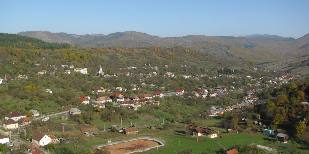 Rónaszék, illusztráció.