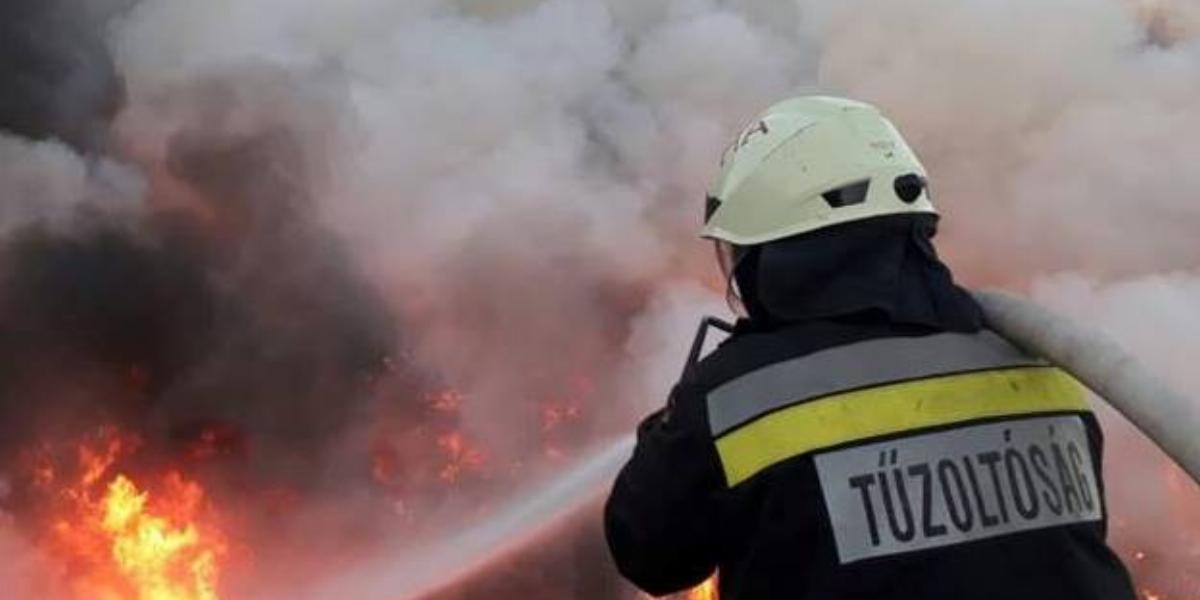 Képünk illusztráció