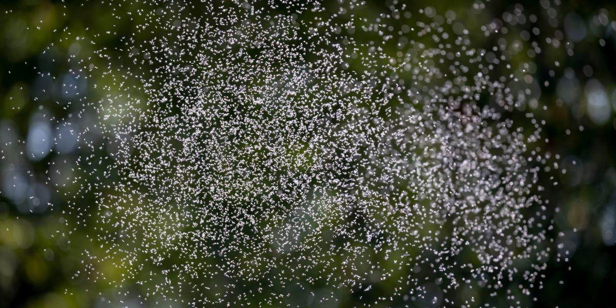 Képünk illusztráció 