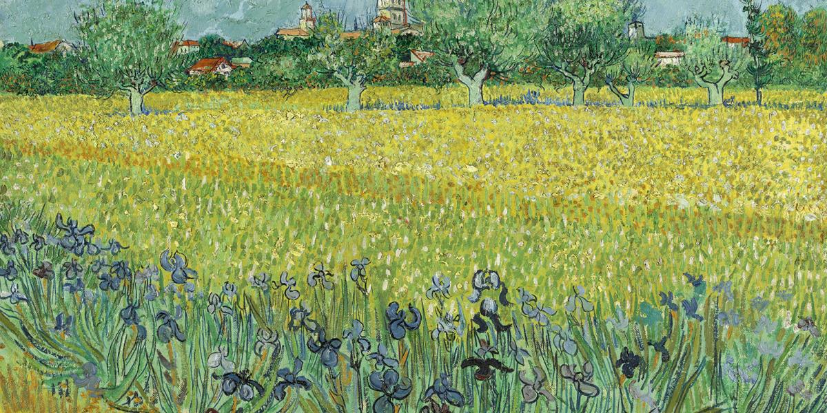 Vincent van Gogh: Mező íriszekkel Arles közelében (1888)