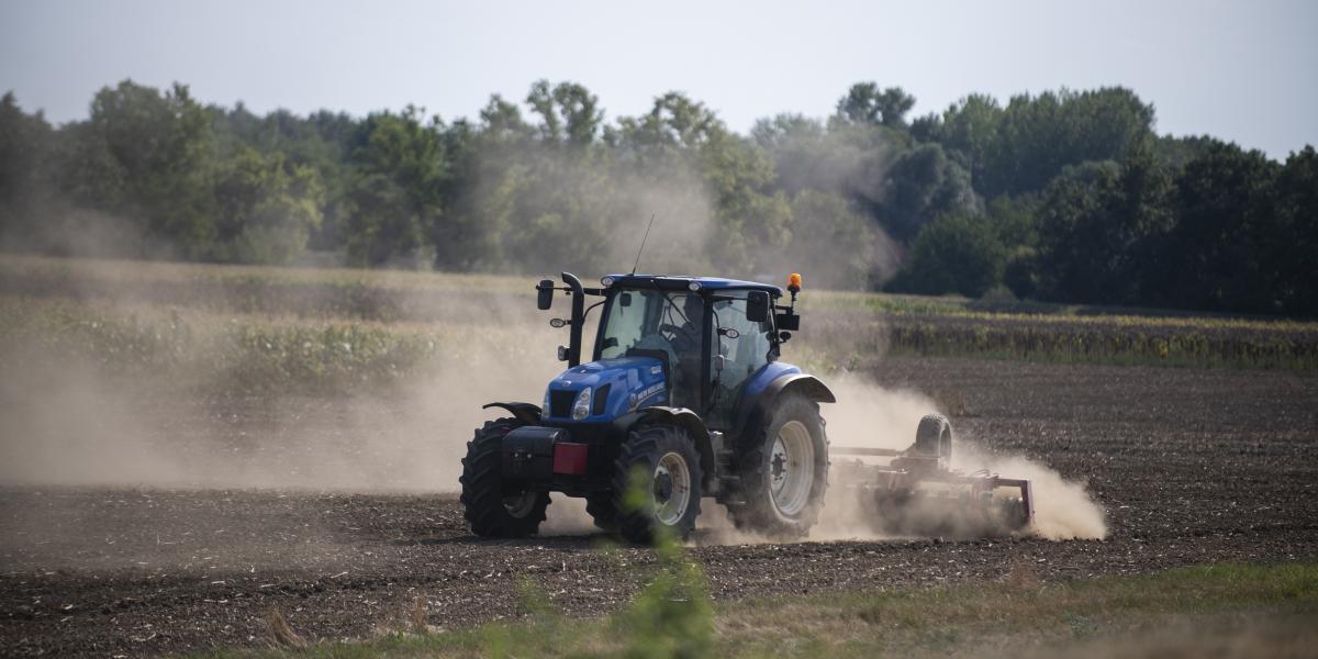 Az ország jelentős részén teljesen száraz a talaj felső rétege