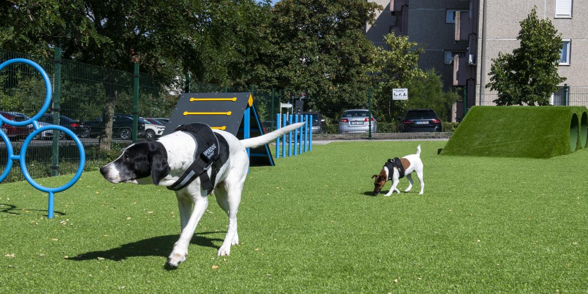 A XVII. kerületi kutyafuttatót is műfű borítja. A gazdák nem szívesen engedik rá a kutyáikat, mert szerintük büdös