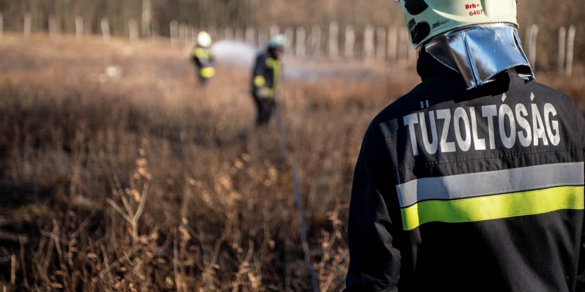 Képünk illusztráció