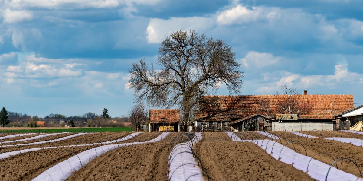 Így vagy úgy, minden termelőt érinthet a támogatási rendszer átalakítása