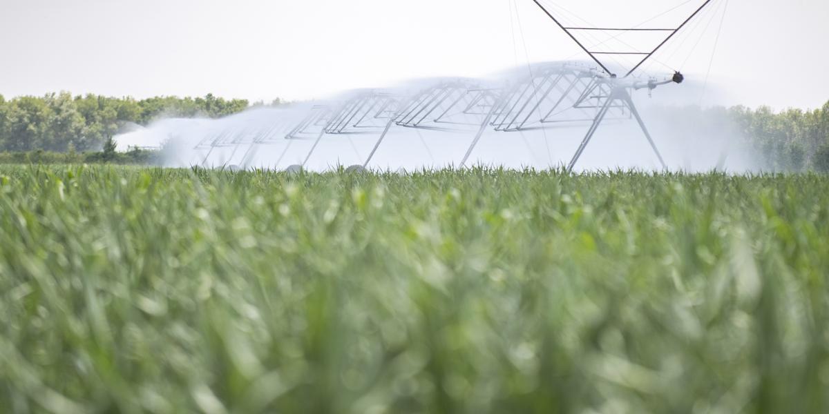 Az EU Víz Keretirányelve kötelező érvényű minden tagállamra, a magyar kormány nem tartja be ezeket az előírásokat