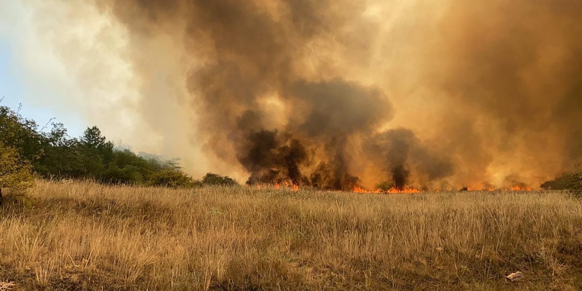 Képünk illusztráció