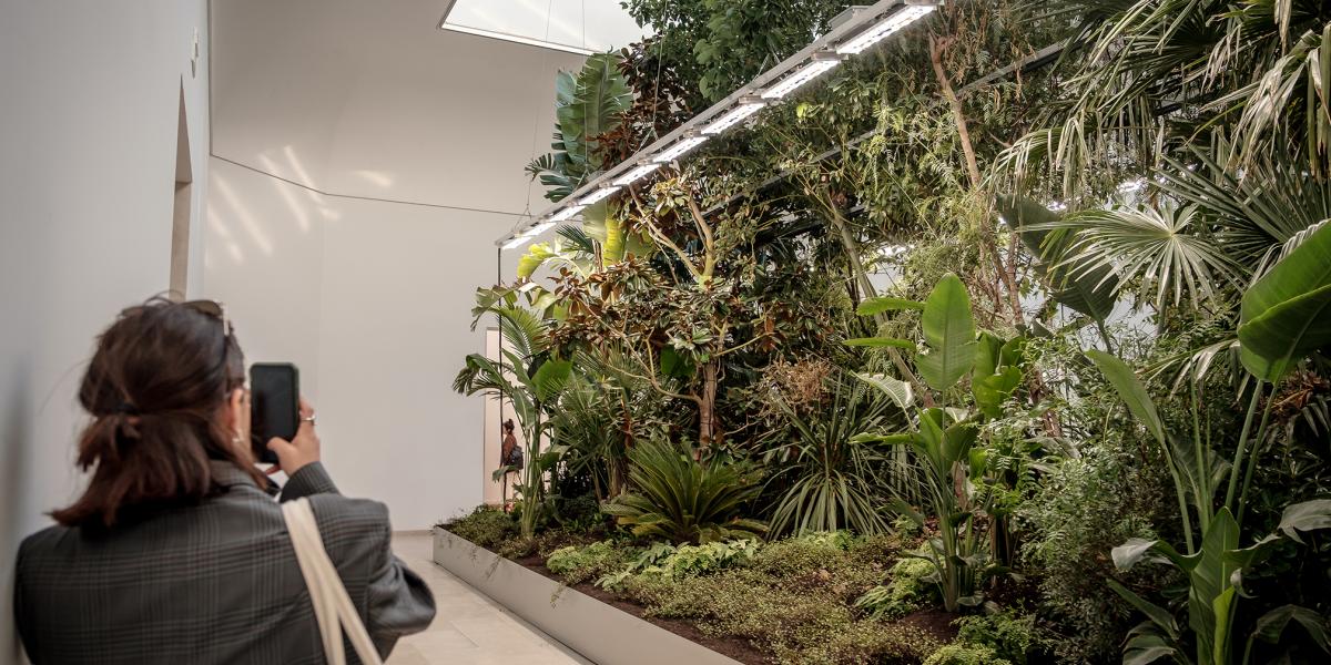 A belga pavilonban több mint kétszáz növény látható