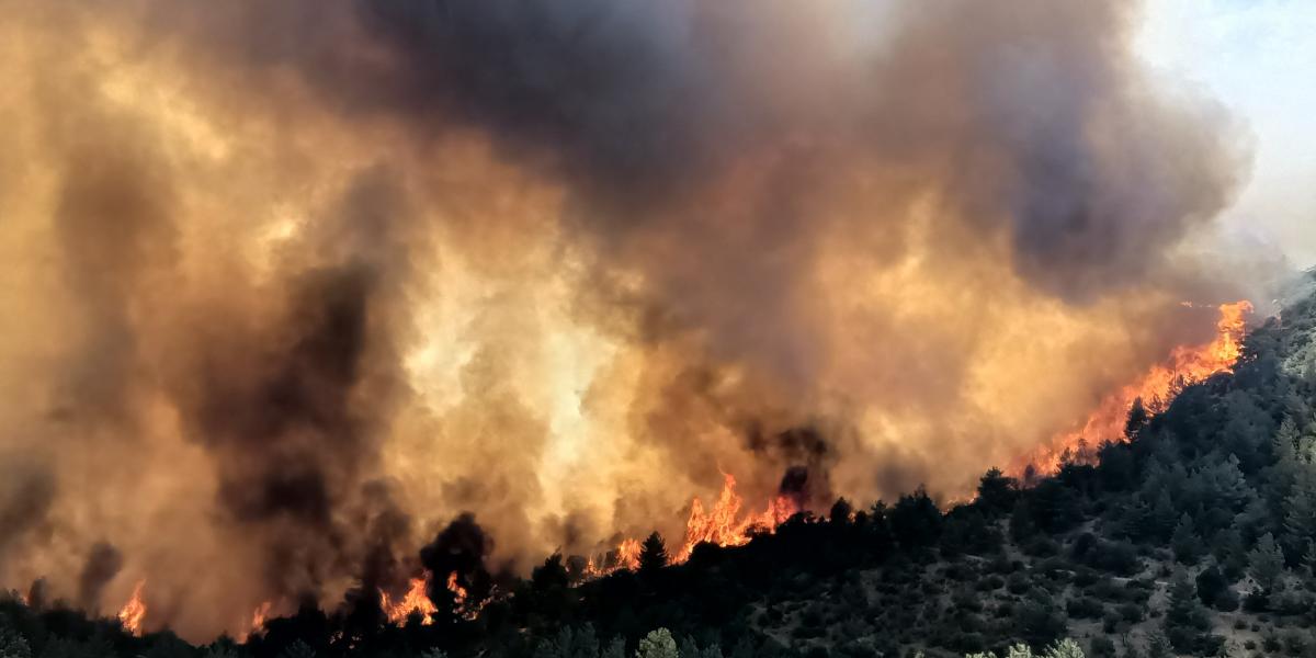 A nagy hőség erdőtüzek százait okozza Európában, Olaszországban és Albániában volt halálos áldozat is