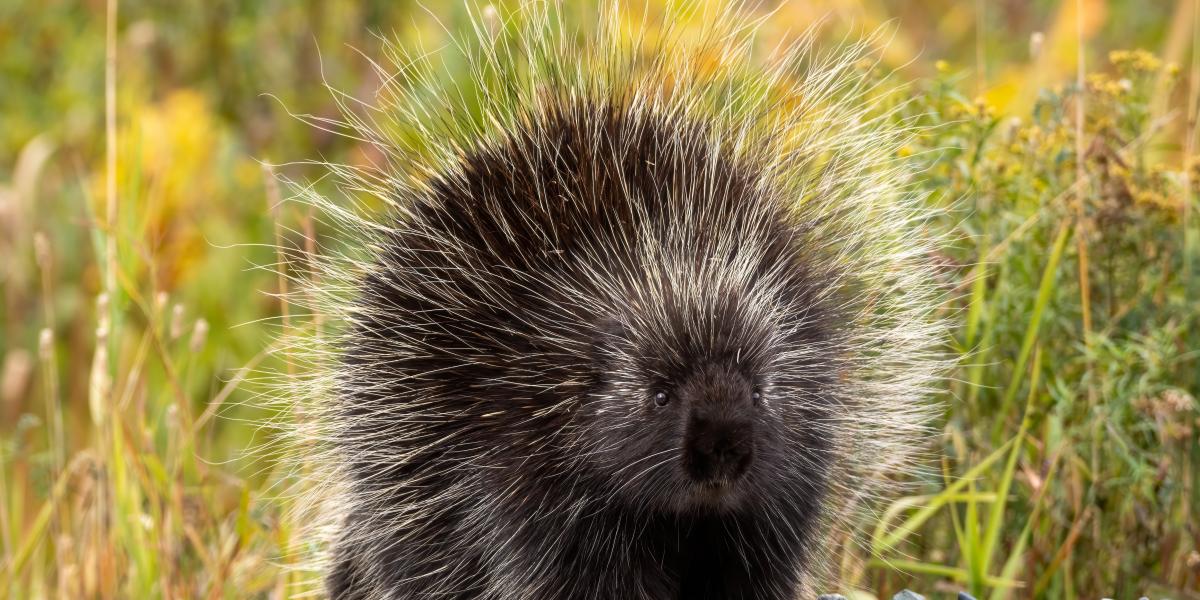 Képünk illusztráció. 