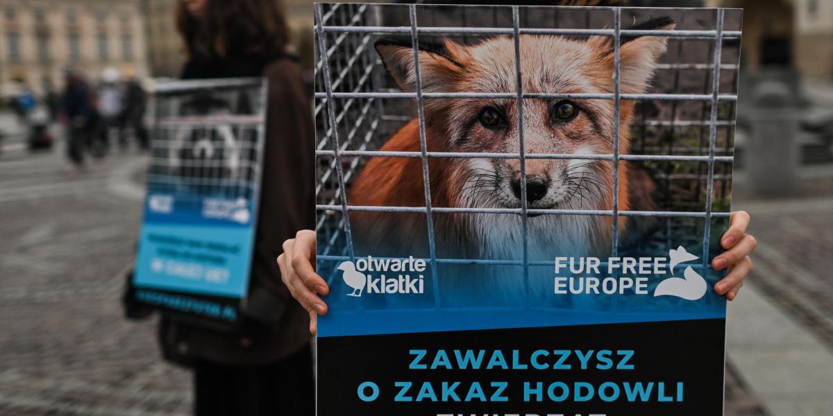 Prémes állatok tenyésztése elleni tiltakozás 2022-ben Krakkóban