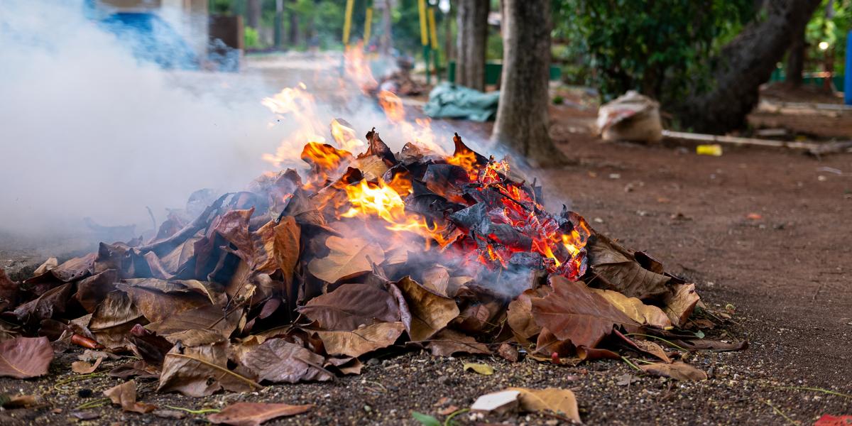 Légutakra és az immunrendszerünkre veszélyes és káros az avarégetés