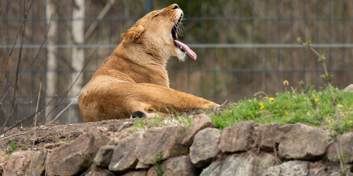 Képünk illusztráció