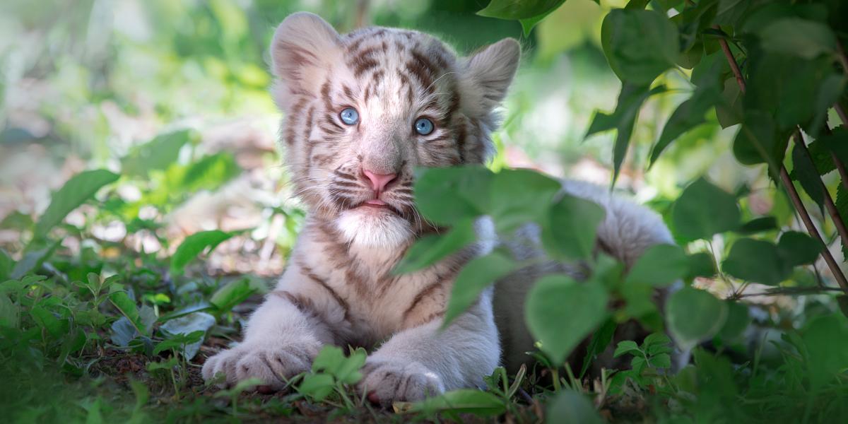 Képünk illusztráció 