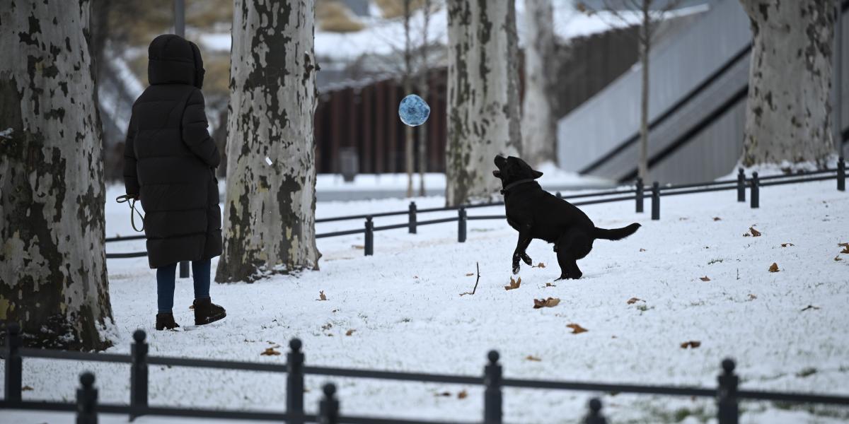 A havas Városliget 2026. január 1-jén