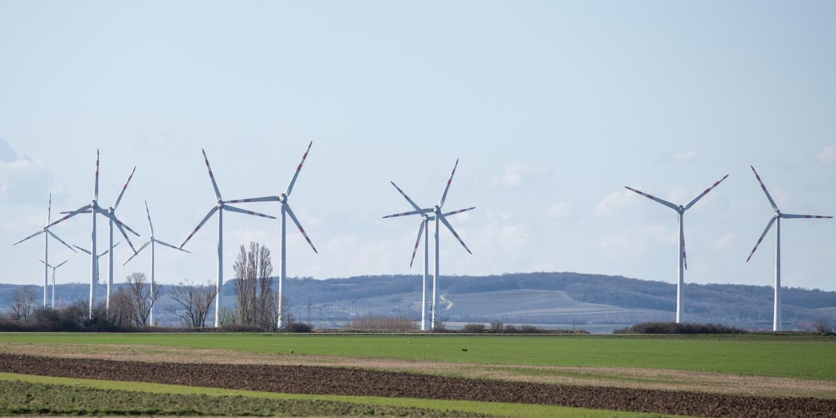 Ugyan az Energiaügyi Minisztérium szerint cél a zöldenergia-termelés fokozása, a szélerőművek építését az ország területének csak 5 százalékán könnyíti meg