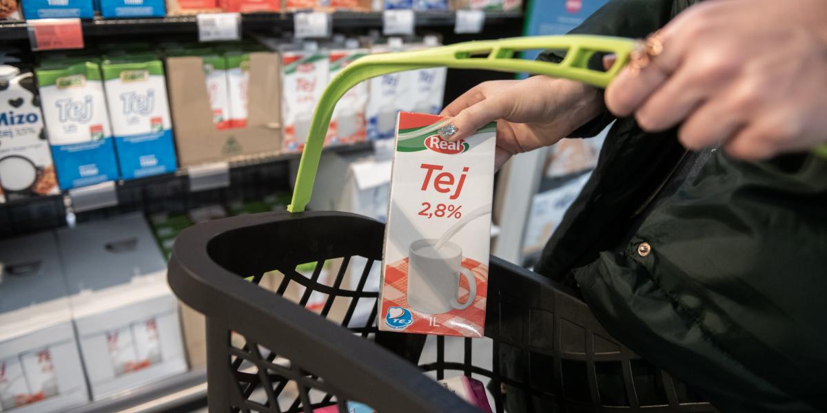 Nem fenékig tejföl. Bezuhantak a termelői árak
