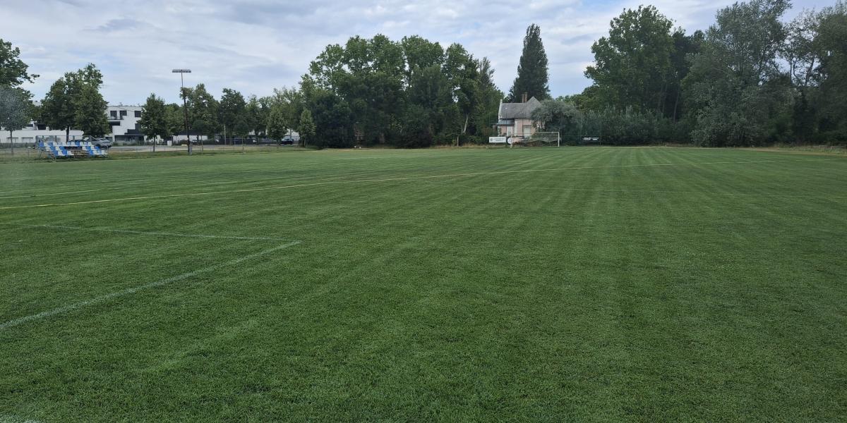 „A terület nem a Balaton partján van, két telek és egy közút választja el a vízparttól” – érvelt a település vezetése. Ami annyiban igaz, hogy nem közvetlen tóparti a hely, hanem cirka 100 méterre található a medertől, ami balatoni viszonylatban tópartina