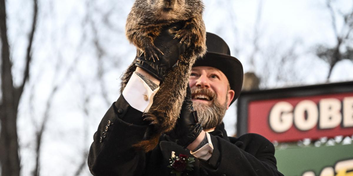 Punxsutawney Phil a Mormota-nap ünnepségen Pennsylvaniában, az Egyesült Államokban, 2023. február 2-án.