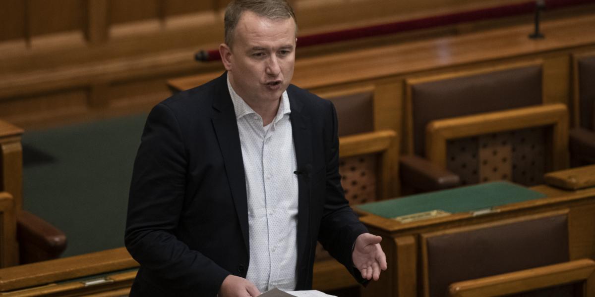 Sebián-Petrovszki László, korábbi felvétel.