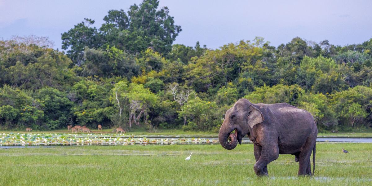 Képünk illusztráció