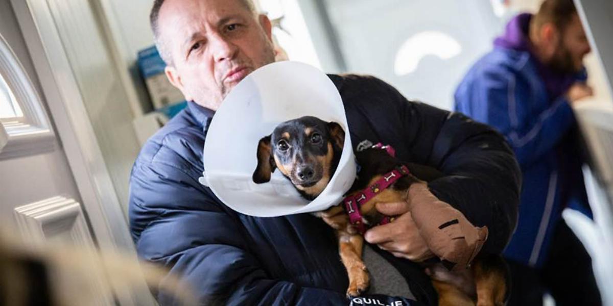 Budai Gyula országgyűlési képviselő egy bántalmazott tacskóval február 4-én 