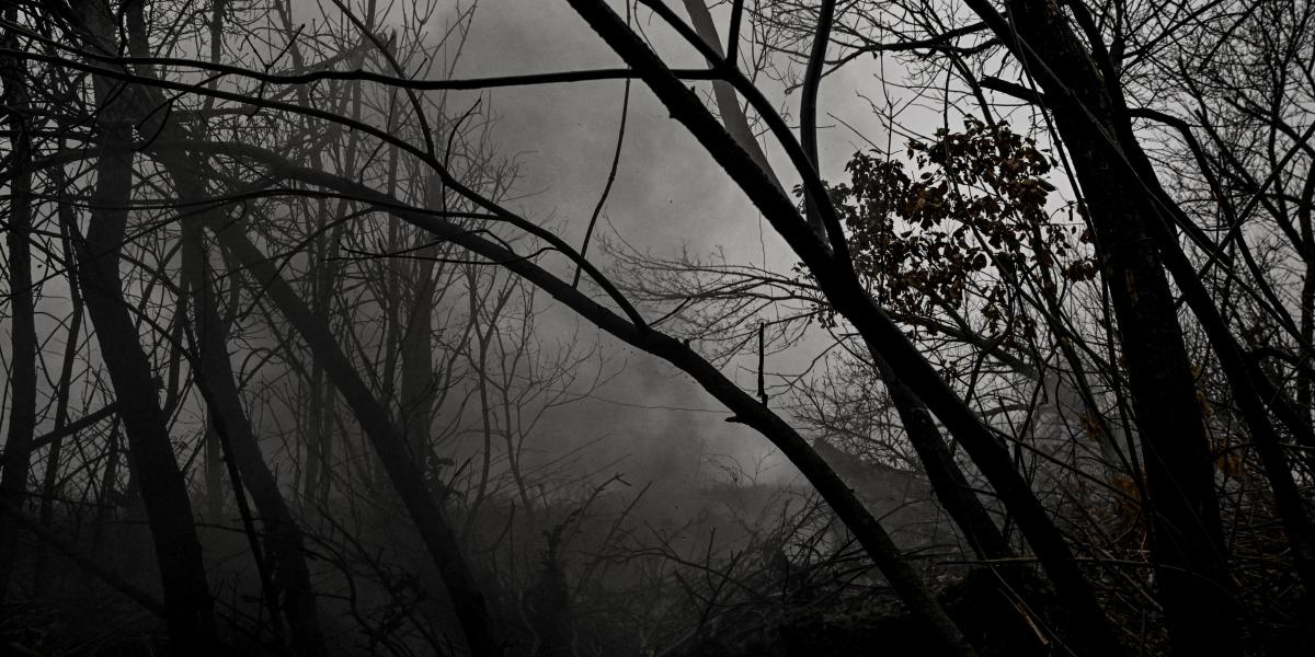 Füst terjed a fák között, Pokrovszk irányban, a Donyecki régióban, Ukrajnában, 2025. november 20-án.