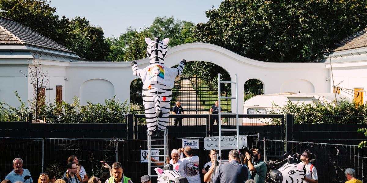  A hatvanpusztai „mezőgazdasági épületek”, zebrástul, maradnak (a Hadházy Ákos által szervezett tüntetés)