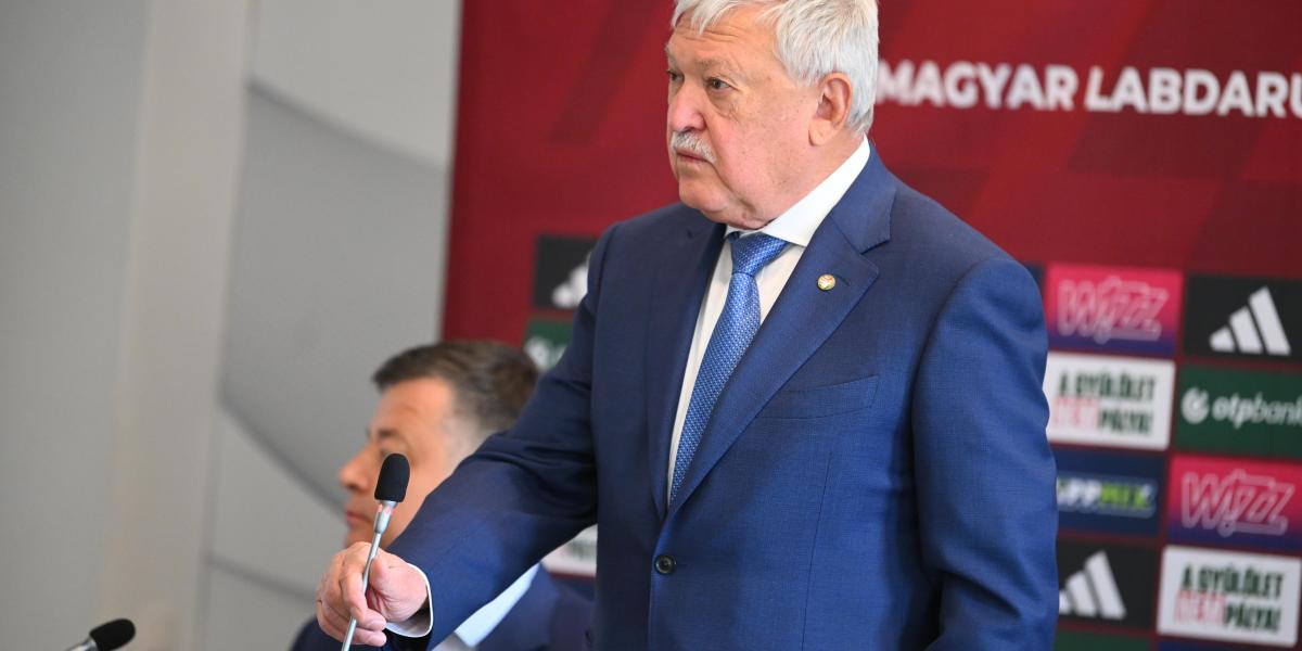 Csányi Sándor, az MLSZ elnöke – korábbi felvétel