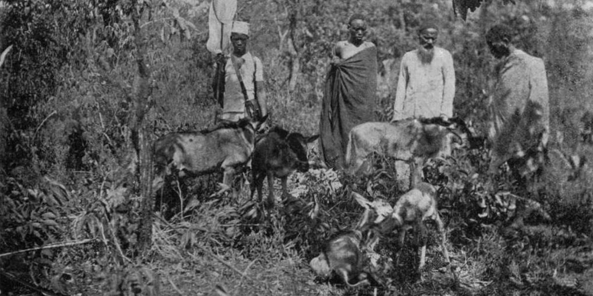 Szomáliak pózolnak a Bornemisza báró kelet-afrikai utazásán készült felvételen